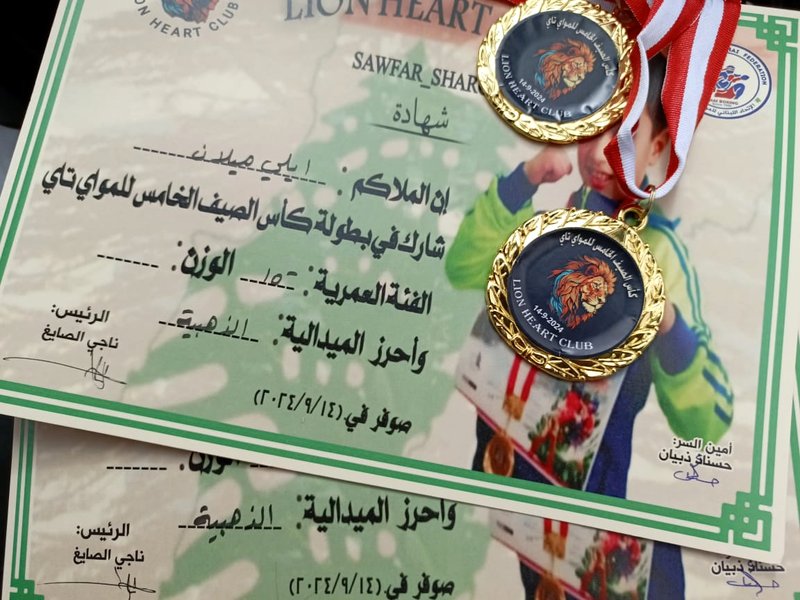Close-up of medals resting on a printed certificate.